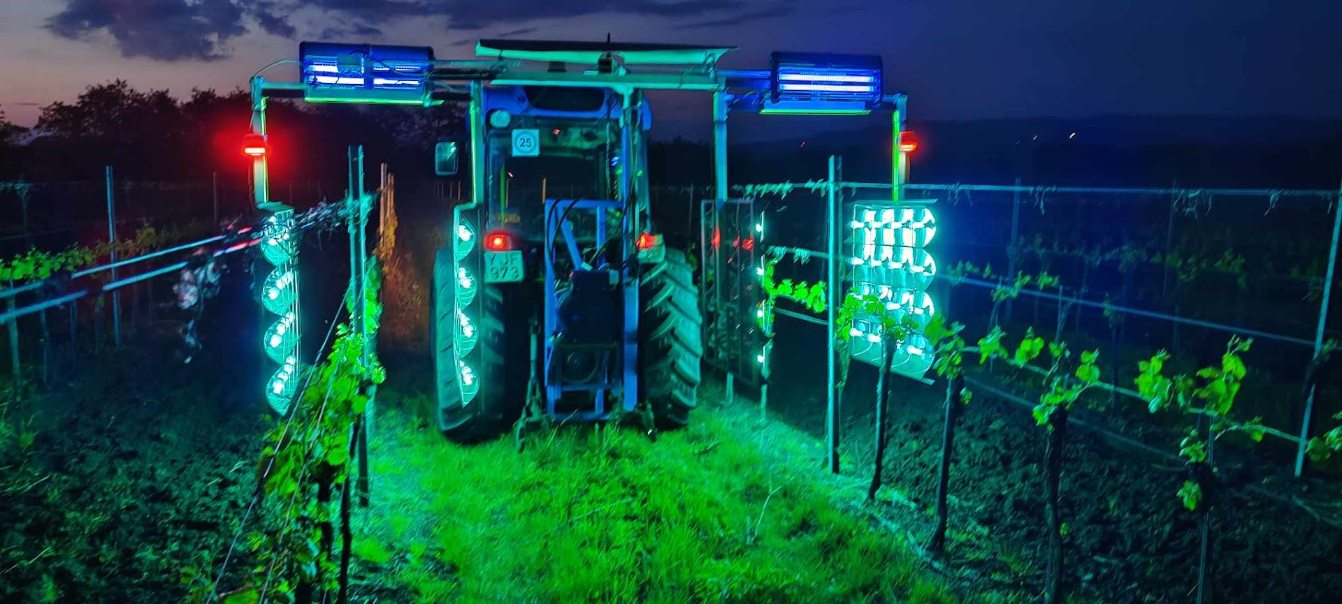 Helli Pincészet Panoráma